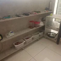 پیشخوان|مبلمان اداری|مرند, |دیوار