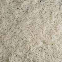 برنج فوق بوجار طارم هاشمی