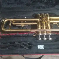 ترمپت اسلاید یو اس ای|سازهای بادی|زرند, |دیوار