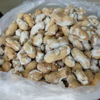 بادام زمینی فروش عمده|عمده‌فروشی|بوکان, |دیوار