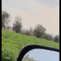 زمین کشاورزی اجاره ای