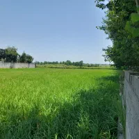 فروش زمین خشکه سند دار نوده هرازپی