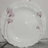 ارکوپال 45پارچه