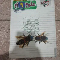 ۳۱ استان علوم و ریاضی کاهه مرشد نهم هوش نهم و ششم|کتاب و مجله آموزشی|تهران, نیروی دریایی|دیوار