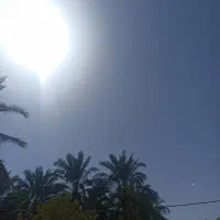 سرویس مدرسه