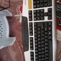 کامپیوتر|رایانه رومیزی|دهق, |دیوار