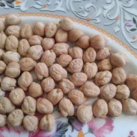 نخود کرمانشاه