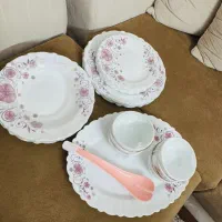 ارکوپال نو داخل کارتن