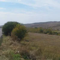 زمین|فروش زمین و ملک کلنگی|عنبران, |دیوار