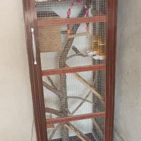 قفس بزرگ پرنده