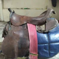 اسب در تجهیزات سوارکاری