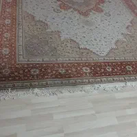 فرش ۱۲ متری تراکم بالا تمیز|فرش|تهران, جوادیه تهرانپارس|دیوار