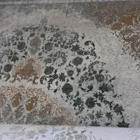 فرش ۹ متری نگین کاشان