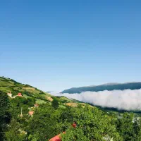 فروش زمین ویلایی|فروش زمین و ملک کلنگی|لواسان, |دیوار