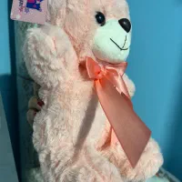 عروسک خرس|اسباب‌‌بازی|شهرکرد, |دیوار