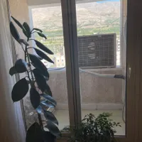 ۸۰ متری ۲خواب ویوی کوهستان|اجارهٔ آپارتمان|تهران, آبشار تهران|دیوار