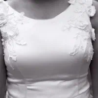 لباس عروس|لباس|ساری, |دیوار