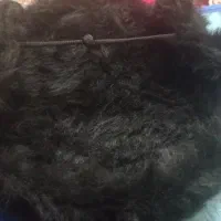 کلاه پشمی نو