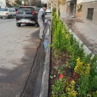 انجام کلیه کارهای باغبانی و سم پاشی و تیلر زدن