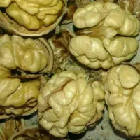 فروش گردو و شیره انگور همدان|خوردنی و آشامیدنی|تولم شهر, |دیوار