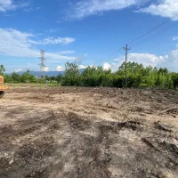 فروش زمین باموقیعیت های گوناگون|فروش زمین و ملک کلنگی|سیاهکل, |دیوار