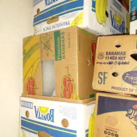 کارتن اسباب کشی (موزی)|حراج|سمنان, |دیوار