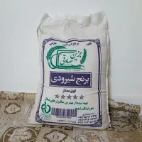 برنج شیرودی جزین صادقی