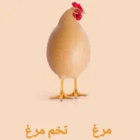 خروس