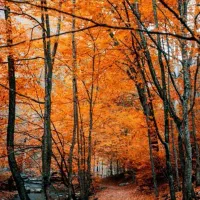 کارهای منزل انجام میدم