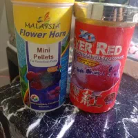 غذای رنگ حد فلاور