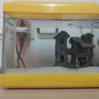 اکواریوم با پمپ