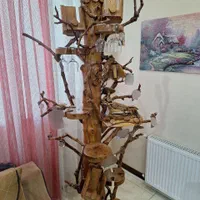 درختچه بار و تزئینی