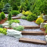 باغبانی و هرس و سم پاشی و تشخیص آفات و بیماری