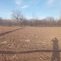 فروش و اجاره زمین کشاورزی|اجارهٔ دفتر صنعتی، کشاورزی، تجاری|فیرورق, |دیوار