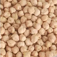 نخود بهاره فروشی
