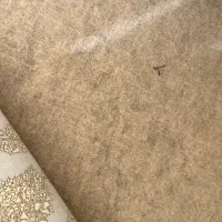 موکت جنس خوب