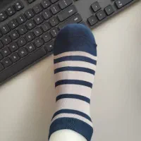 پخش انواع جوراب|لباس|برخوار, |دیوار