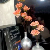دوعدد گل با گلدانش|گل مصنوعی|برازجان, |دیوار