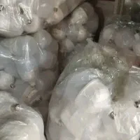 نود|لامپ و چراغ|تهران, شیخ هادی|دیوار