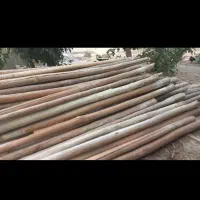 چوب چنار خریدارم|خدمات باغبانی و درختکاری|سرپل ذهاب, |دیوار