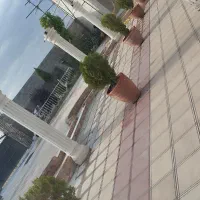 سرایدار تالار