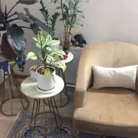 مبلمان|مبلمان خانگی و میز عسلی|تهران, خانی آباد نو شمالی|دیوار