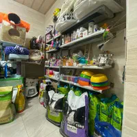 پت شاپ بمدیریت دکتر دامپزشک|لوازم جانبی حیوانات|رشت, حمیدیان|دیوار