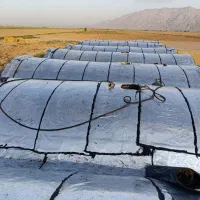 ایزوگام شاملو