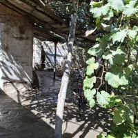 باغ ۵۰۰متری ناژوان پلاک دوم خیابان|فروش زمین و ملک کلنگی|اصفهان, بوستان ناژوان|دیوار