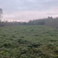 فروش-زمین-در-روستای-میانده