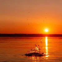 قایق قسطی میخواهم