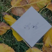 ایرپاد طرح پرو ۲ کیفیت خوب، قیمت اقتصادی|لوازم جانبی موبایل و تبلت|شیراز, اصلاح‌نژاد|دیوار