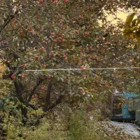 زمین فروشی در منطقه کیلاوند دماوند