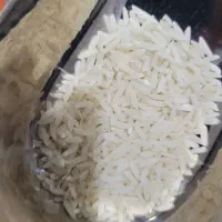 فروش قیمت طارم هاشمی اعلا از بابلسر